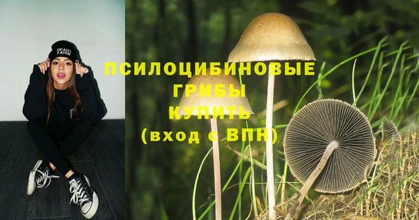 PSILOCYBIN Богородск