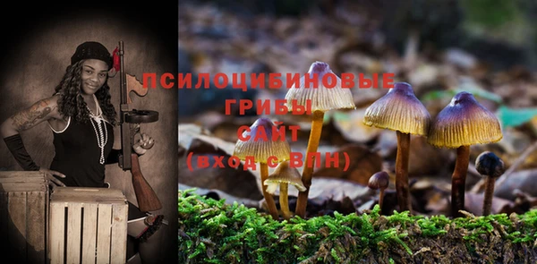 PSILOCYBIN Богородск